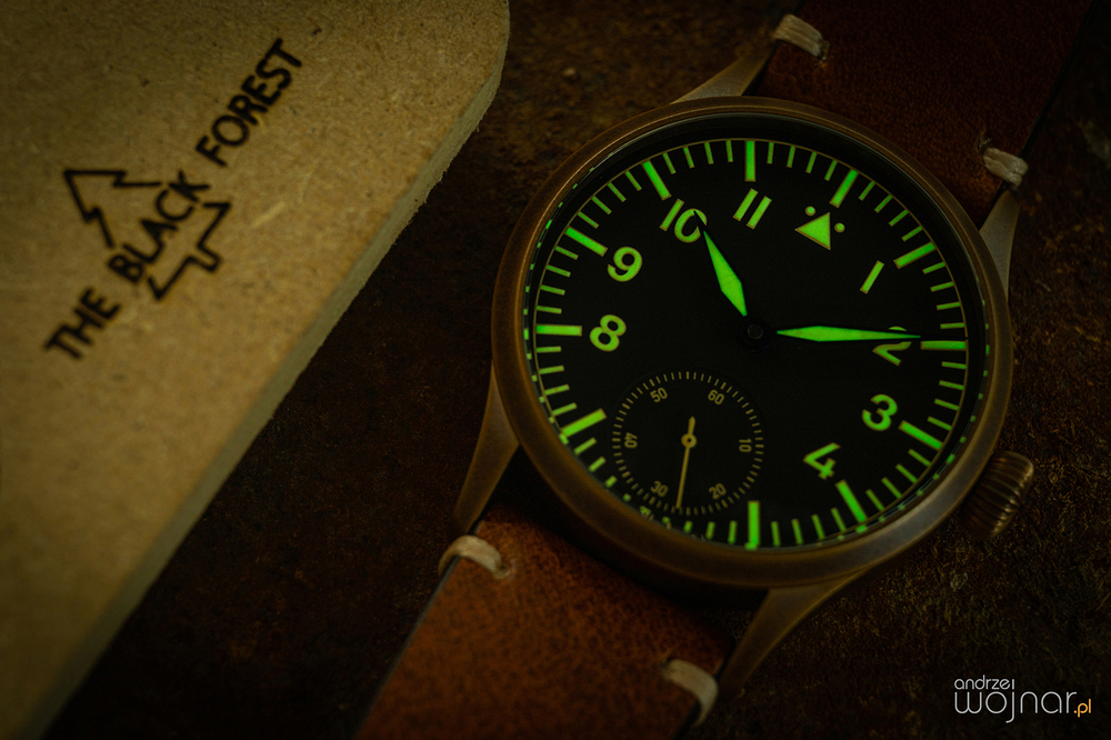 _DSC3379.thumb.jpg.dd05500f149da6652a9f1fa5741b64e3.jpg
