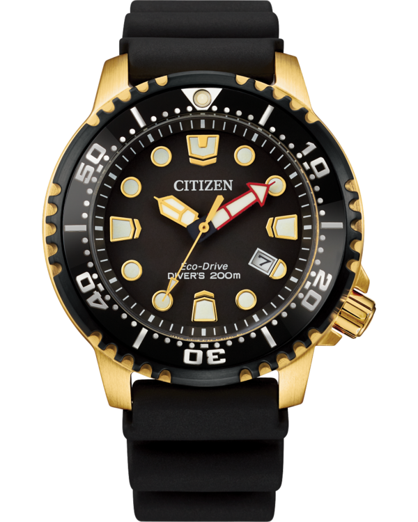 Promaster Diver.png