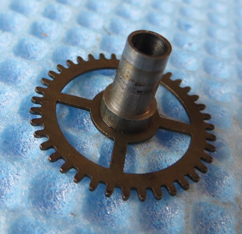 IMG_8328 (Copy)-crop.JPG