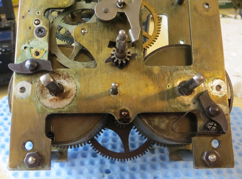 IMG_8341-crop (Copy).JPG