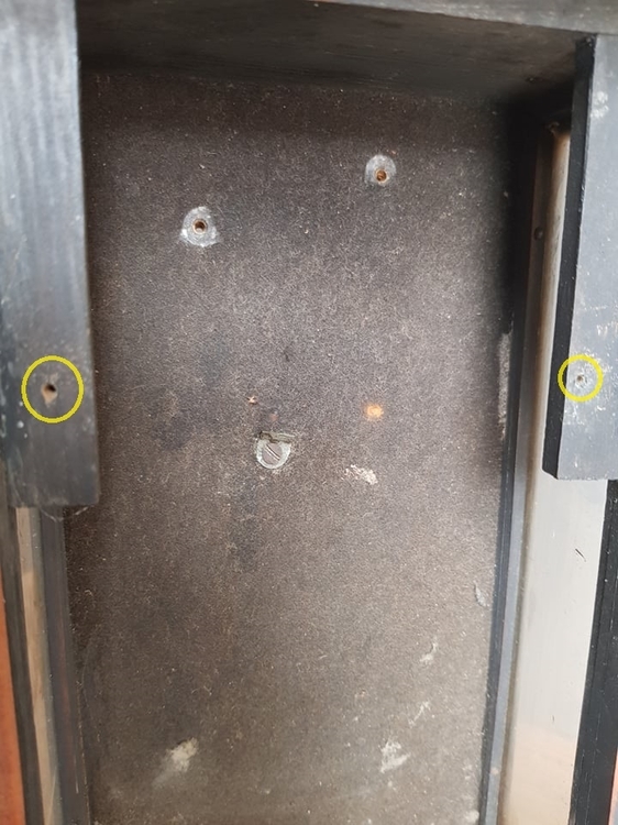 241068632_256291069679484_1557350309625059855_n (1).jpg