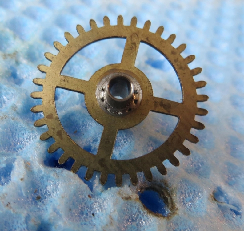 IMG_8329 (Copy)-crop.JPG