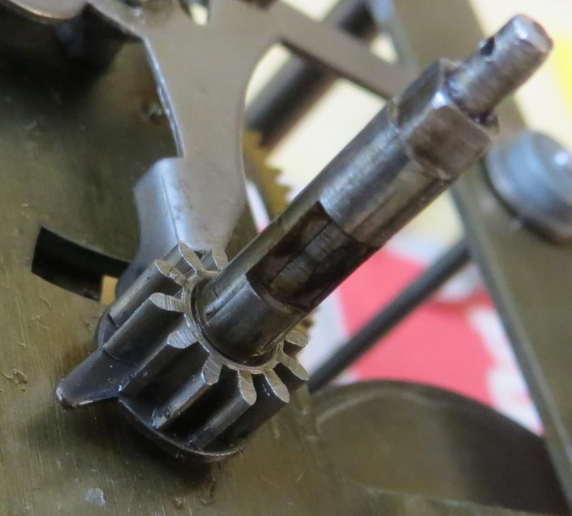 IMG_8332 (Copy)-crop.JPG