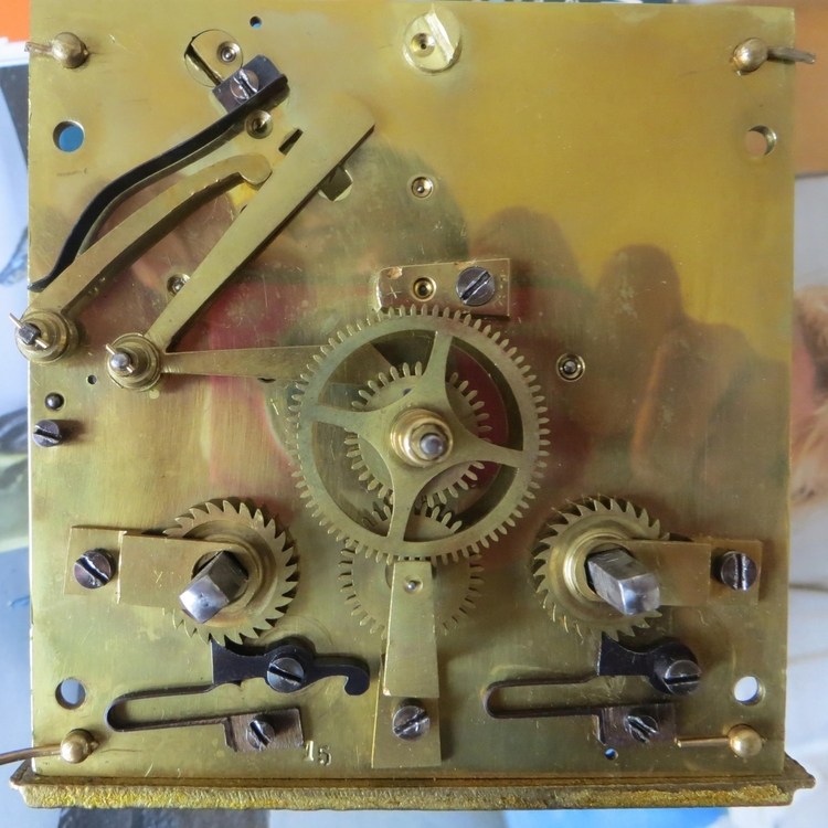 IMG_8297-crop (Copy).JPG