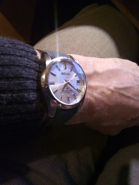 giees na dzisiaj.jpg