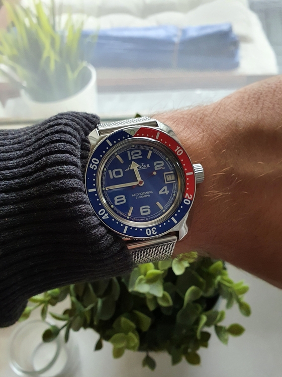 vostok_amphibia_710_pinw.jpg