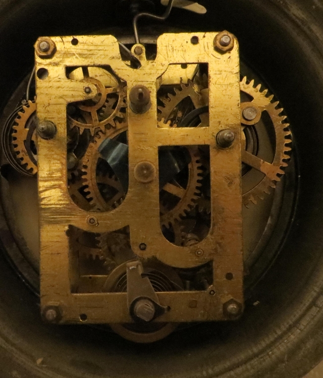 IMG_8466-crop (Copy).JPG