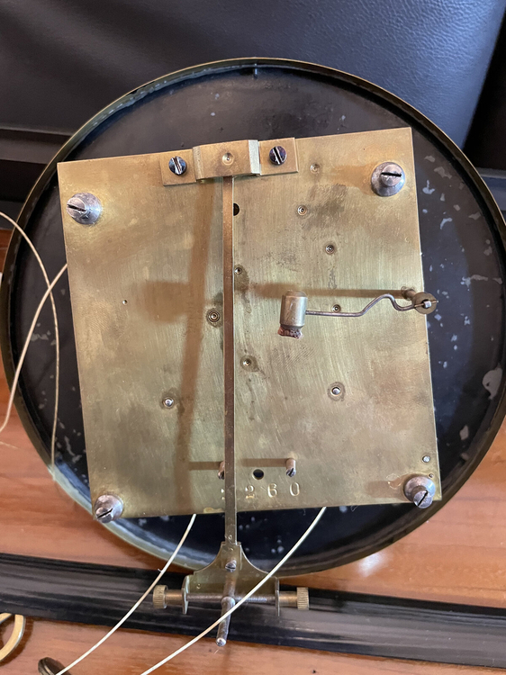 A1B29766-E838-43AE-A31A-5B20643690DB (1).jpeg