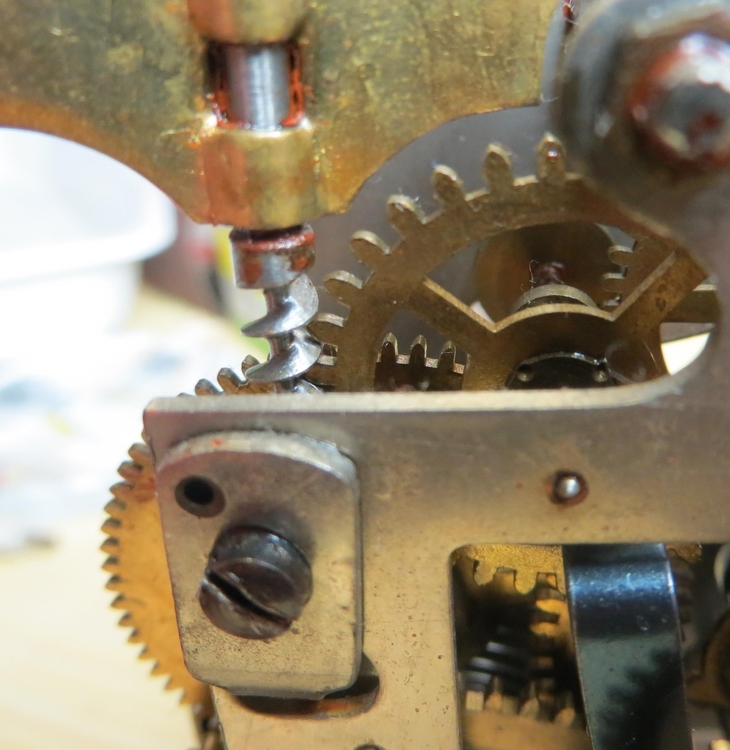 IMG_8570-crop (Copy).JPG