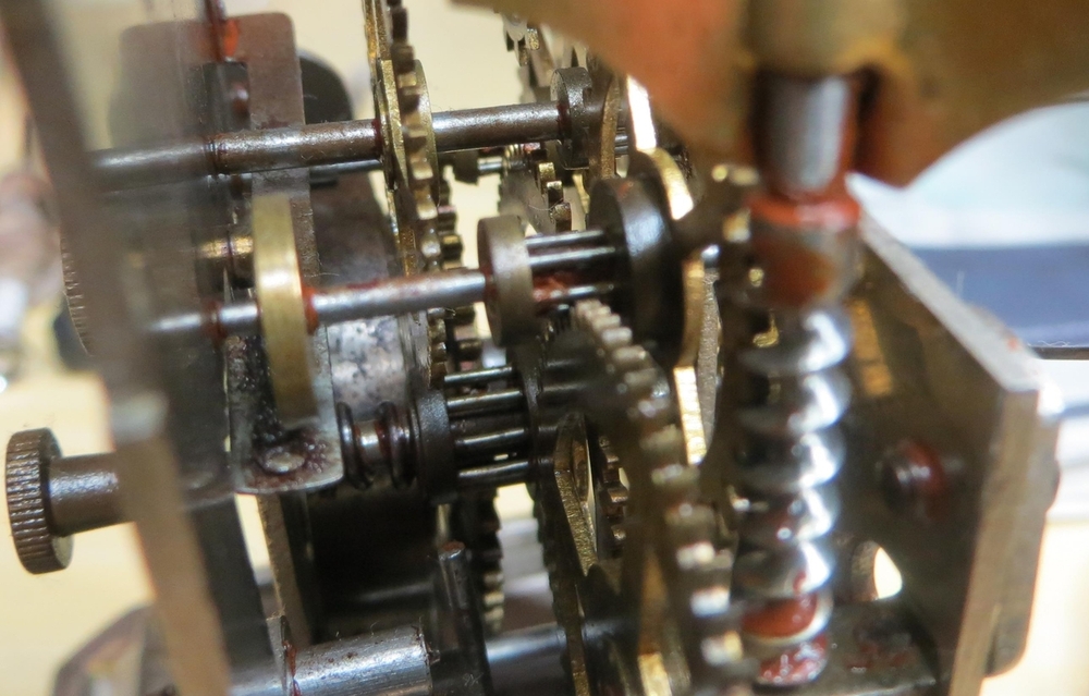 IMG_8572-crop (Copy).JPG