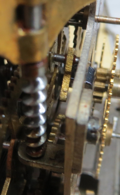 IMG_8571-crop (Copy).JPG