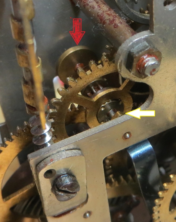 IMG_8576-crop (Copy).JPG