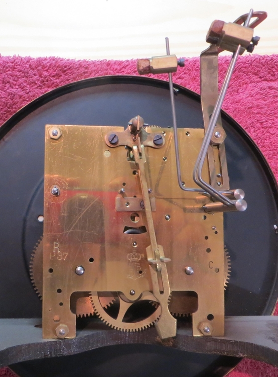 IMG_8611-crop (Copy).JPG