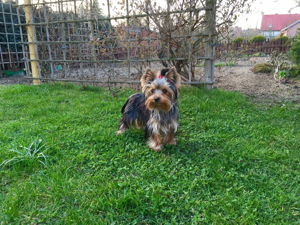 2021-11-28 21.57.58.jpg