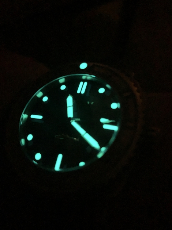 E1C3560A-8637-4718-BD37-75B2B06C1611.jpeg