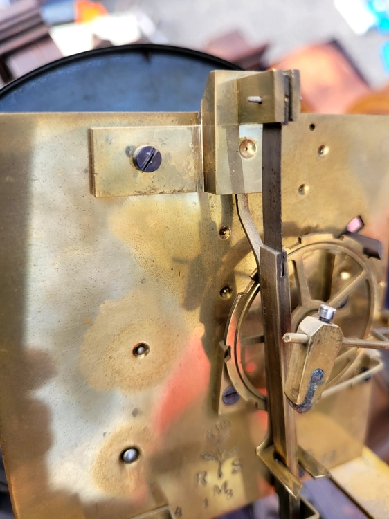 20220423_092423 — kopia.jpg