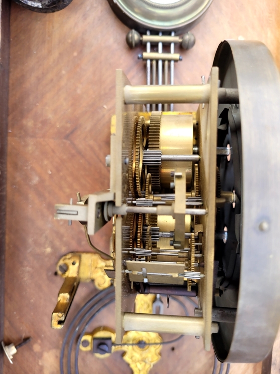 20220423_092406 — kopia.jpg