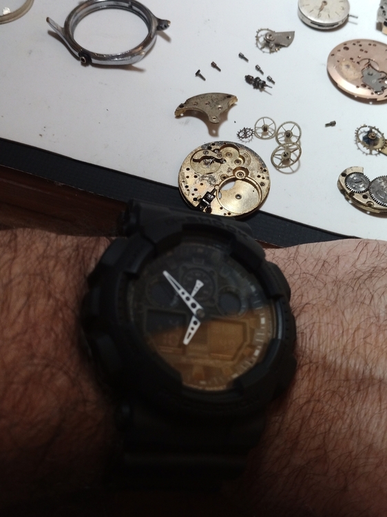 IMG_20220410_185048.thumb.jpg.5cb06fa6662ca5337054781463e9ac8e.jpg