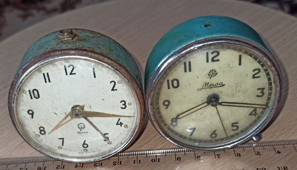 Mewa poltik + maluch poltik