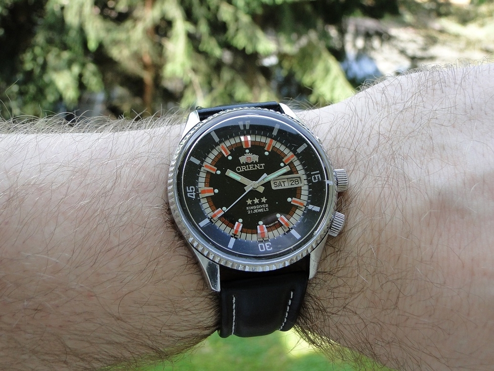 DSC03763 — kopia.JPG