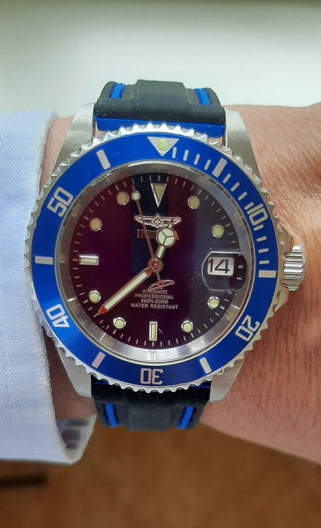 Budżetowy nurek.jpg