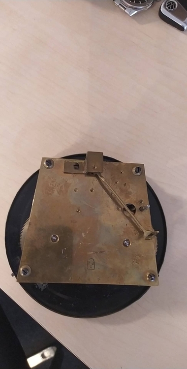 290197469_549895883302422_5199325670214315338_n (1).jpg