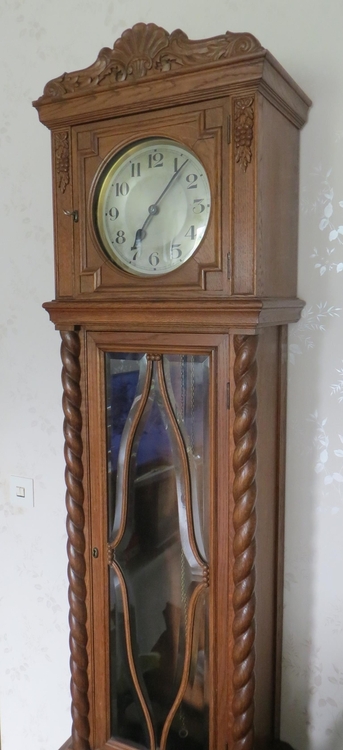 IMG_8845-crop (Copy).JPG