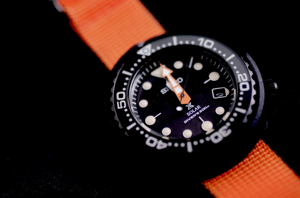 tuna solar orange.JPG