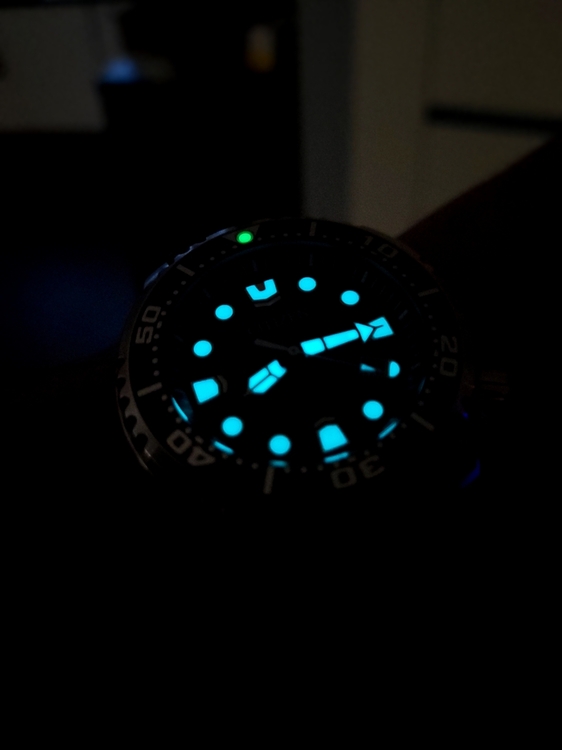 20220826_201609.jpg