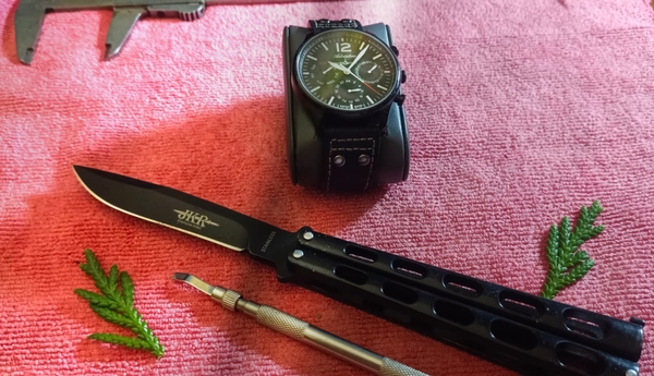 WhatsApp Image 2022-08-29 at 22.10.17.jpeg