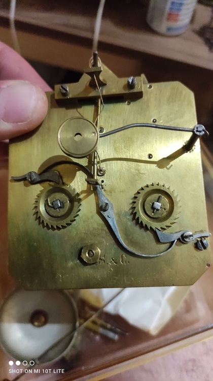 310857183_503340674987255_3009762245089322115_n (1).jpg