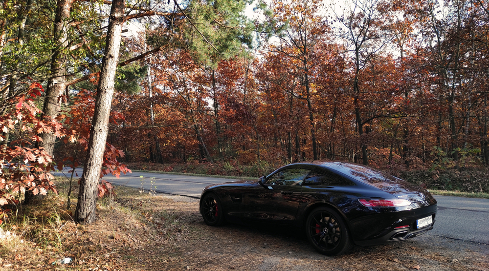 amg-gt-jesien-02.jpg