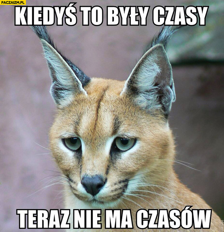kiedys-to-byly-czasy-teraz-nie-ma-czasow-rys.jpg