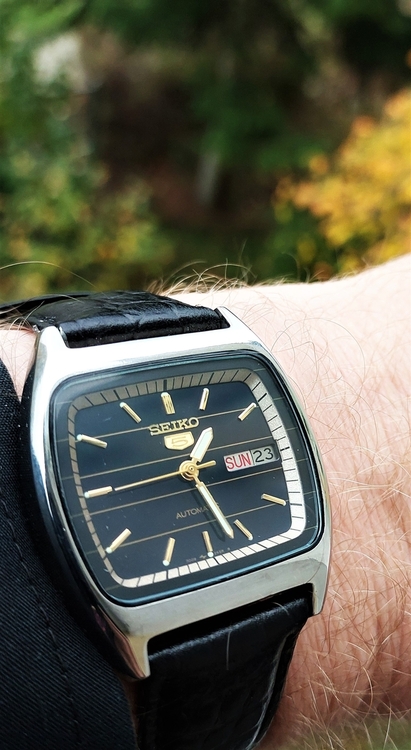 seiko23.thumb.jpg.c17aaf43321a6d5745bc0b353bc1d17d.jpg