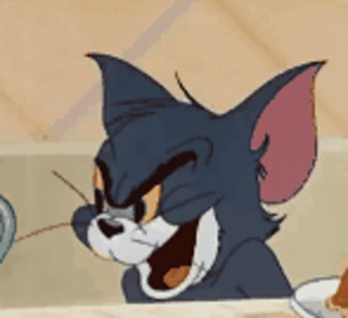 tom-and-jerry-tom-the-cat.gif.cc6c81458651b51a721e5975b6b858b5.gif