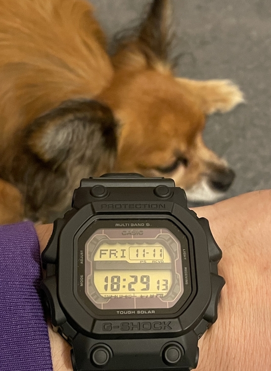 0642396D-C14C-4E41-8687-527C4C865261.jpeg