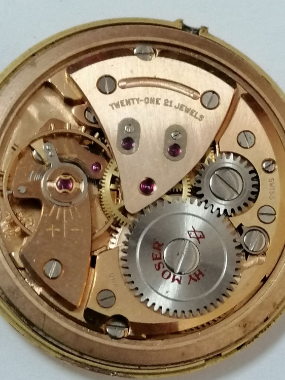 IMG_20210224_142000 (1).jpg