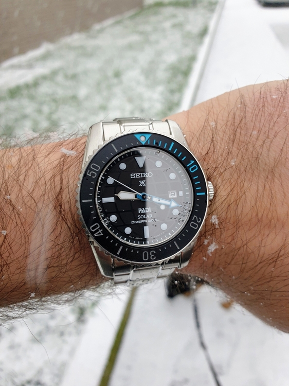 20221119_091747.thumb.jpg.a541f05a3c02f154f647bc3bb288b721.jpg