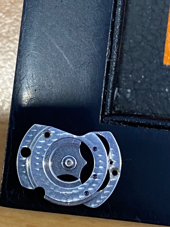 967190303_IMG_7459(1).thumb.jpg.3c5d7a27469e53d99c24bf81dcee41a9.jpg