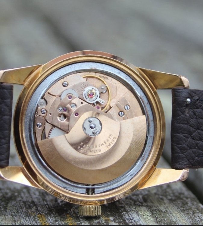 Screenshot_20221117-125711310 (1).jpg