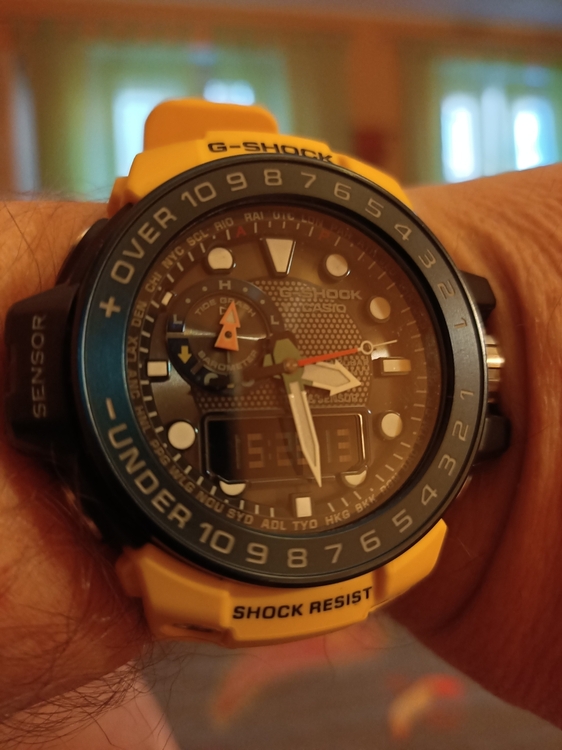 IMG20221115152812.jpg
