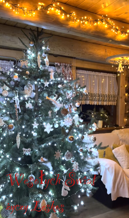 Zrzut ekranu 2022-12-23 o 22.51.07.jpg