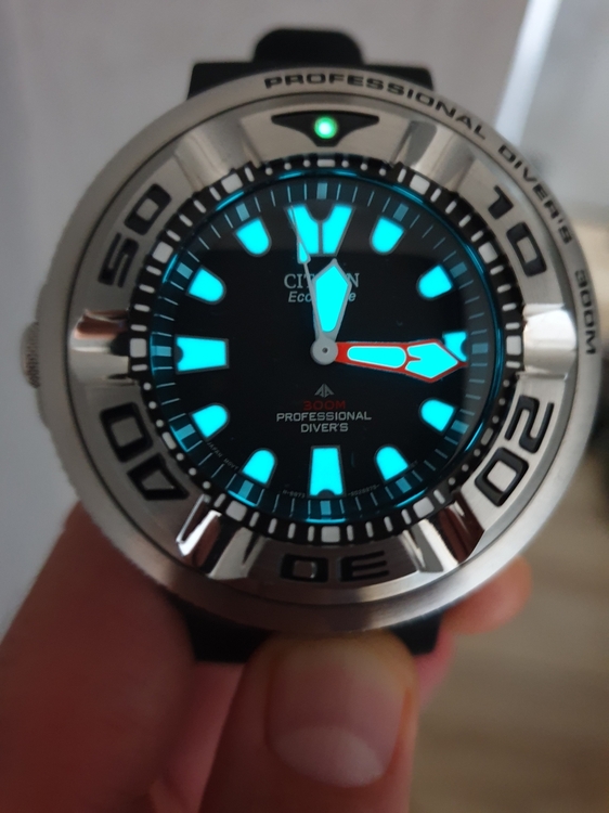20190901_121546.thumb.jpg.404158196be1156fca9a4248e7af800d.jpg