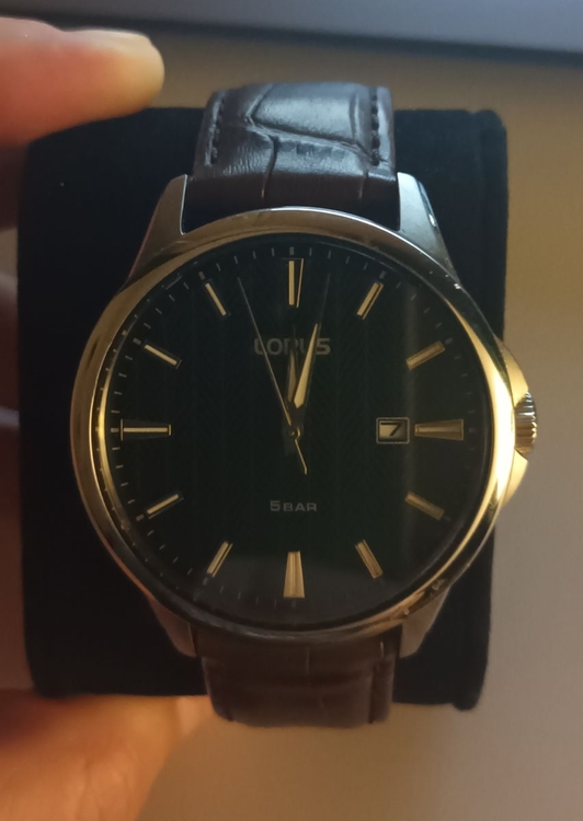 lorus.thumb.jpg.42361dc4e8de780cb89e69b6a8a5c3a4.jpg