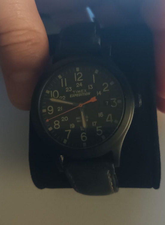 timex1.thumb.jpg.35c2bea405944aa21866250770e6ac01.jpg