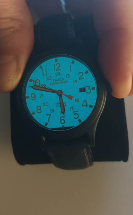 timex2.thumb.jpg.338f39e4cf1da4af9c57624dbc03e1eb.jpg