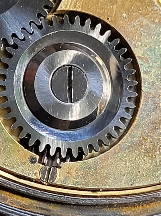 20230312_105935.jpg