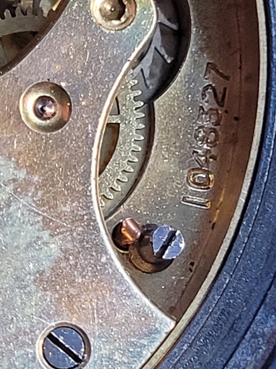 20230312_105938.jpg