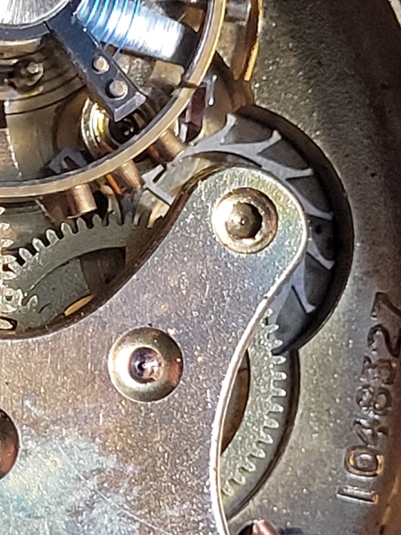 20230312_105941.jpg