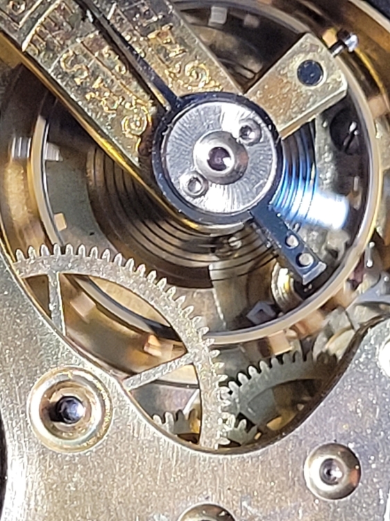 20230312_105949.jpg